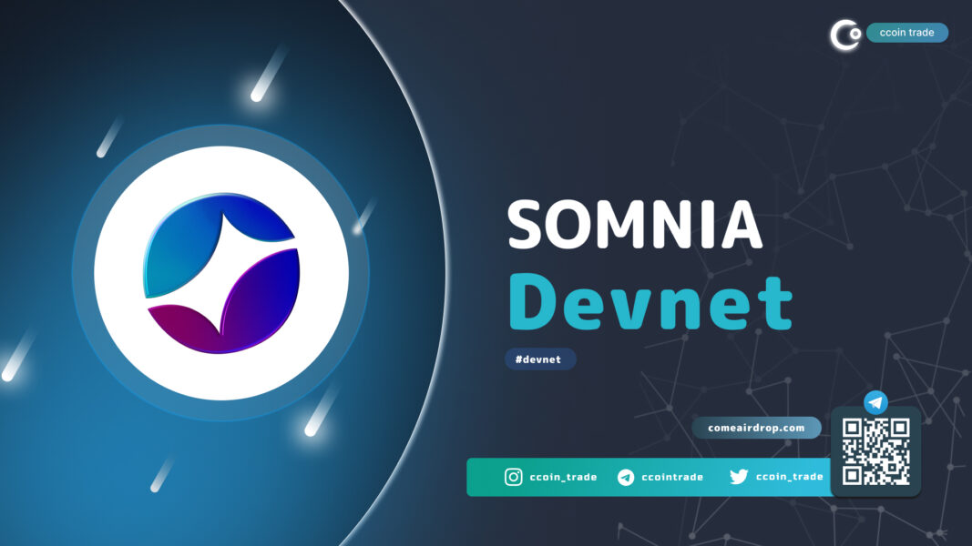 somnia dev